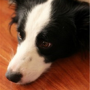 熟女来支援漫画免费观看
